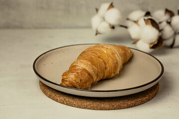 croissant on a beige plate with a cup of tea and a sprig of cotton on a concrete background