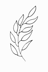 Meadow plants. A simple sketch. Vector line illustration	
