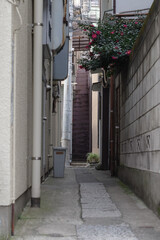 Obraz premium 昭和の雰囲気のある荒木町周辺の風景 荒木町、新宿区、東京、日本