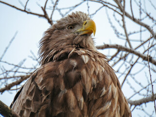 bird on tree