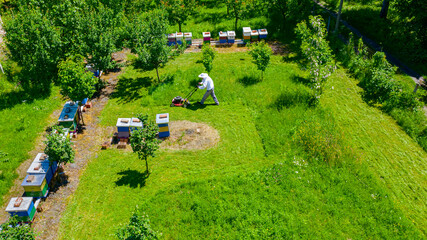 Aerial view of beekeeper as he mowing a lawn in his apiary with a petrol lawn mower