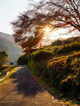 明日香村images Browse 1 847 Stock Photos Vectors And Video Adobe Stock