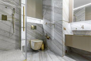 Luxury bathroom interior. Marble tile wall. shower stall,