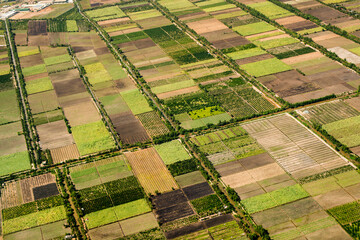 aerial photo from a plane top view gardens and fields - Powered by Adobe