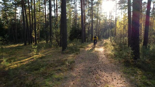 Drone crashed at work ActiveTrack following drone For bicycle in the forest.