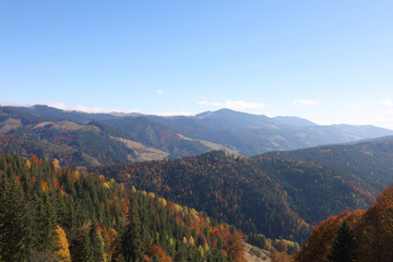 Beautiful landscape with autumn forest in mountains on sunny day