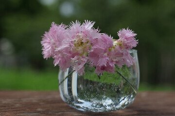 Beautiful carnations transparent vase. Bouquet of stunning colorful pink carnations in small glass vase on a wooden table. A small carnation. A beautiful bouquet of garden flowers on nature background