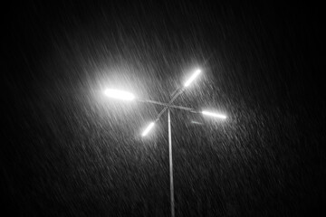 Lamppost at night in the snow.