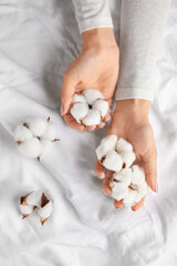 Female hands with beautiful cotton flowers on fabric background