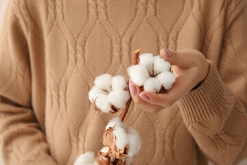 Woman holding branch of beautiful cotton flowers, closeup