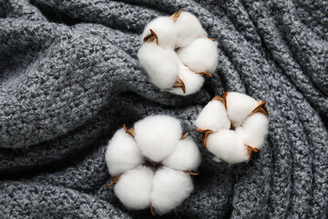Fototapeta na wymiar Soft cotton flowers on dark knitted fabric background