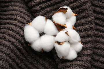 Beautiful cotton flowers on dark knitted background