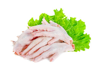 Fresh raw chicken parts isolated on white background.