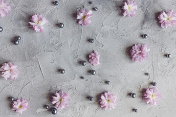 Fresh pink sakura flowers and black pearls on gray creative background. Spring, wedding, beauty concept. Minimalist flat lay, top view, copy space