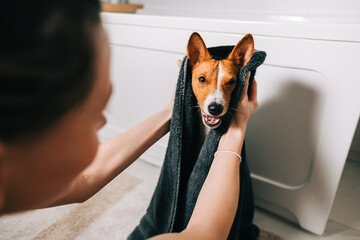 Young woman drying her dog with towel after bathing.