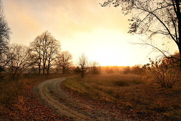 Plakat Dirt road among the landscape of late autumn in the early morning. Misty late November morning