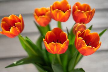 Blumen auf Balkon