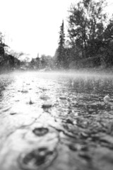 Regen auf Stra&szlig;e