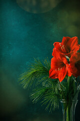 Fototapeta na wymiar Bouquet of red amaryllises on dark green blue background. Selective focus. Place for text.