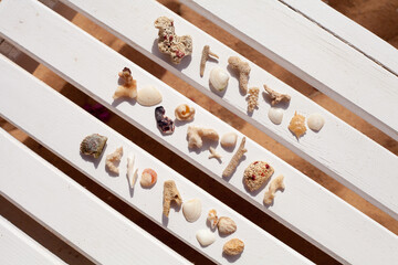 Seashells and corals, marine treasures found on the beach against a white background, spread out on...