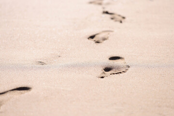 Barefoot prints on wet sand on beach closeup background