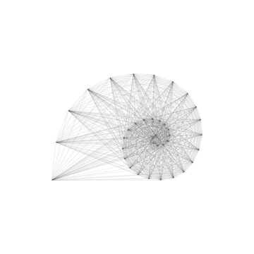 recommend clip art: Vector illustration of seashell logo. Minimalistic line art style