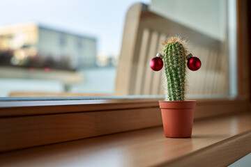 Alternative Christmas tree made of cactus on a windowsill