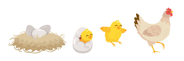 Hatching process. Vector cartoon illustration. White background.