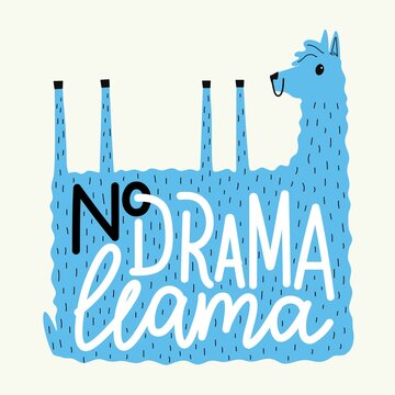 Vector illustration with llama and lettering phrase. No drama llama. Colored typography poster with animal, funny apparel print design