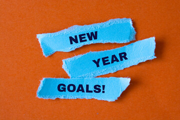 New year goals - text on torn paper.