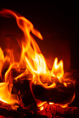 Fototapeta premium fire on the black background