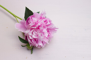 Floral composition with peonie on old wooden table Selective focus, blurred background. Spring flowers. Spring background. A place for your text.