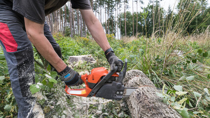 Lumberjack working with power chain saw at cutting wooden log. Forest worker in work trousers with protective gloves on hands at sawing felled tree trunk by portable chainsaw. Lumbering industry tool.