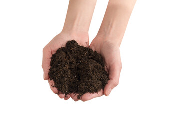 Brown soil in woman hands isolated on white.