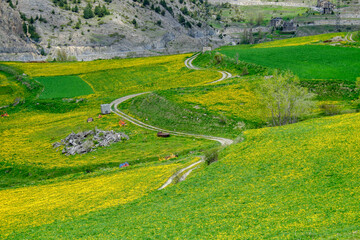 Fototapeta na wymiar principallity of andorra spring landscapes and villages views