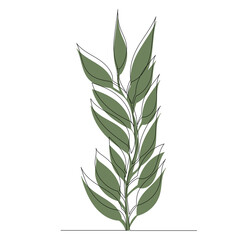 green plant on white background sketch, vector, isolated