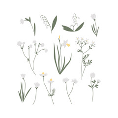 Fototapeta na wymiar Vector color hand drawn illustration with white spring flowers set. Big collection of minimalist wildflowers. For logo design, tattoo, postcard