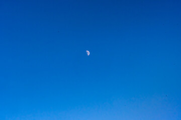 moon in the sky