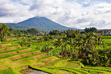 Spectacular view of Jatiluwih Rice Terrace, Unesco World Site, Bali, Indonesia