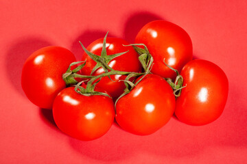 tomato branch on red background
