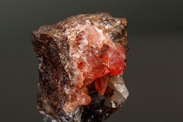 macro mineral stone Rhodochrosite on a black background