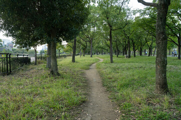 公園 森林 憩い 小道