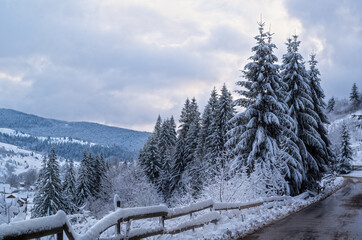 road leading to the mountains in a snowy forest