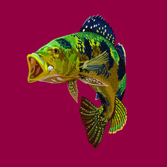 Monoculus pbass fish,large fish, vector