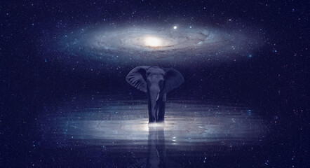 Fototapeta na wymiar African elephant in the centre of Andromeda galaxy 