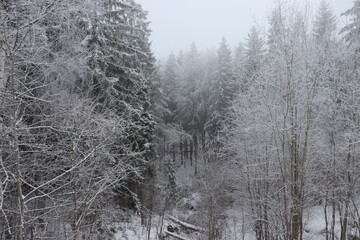 snowy morning in belarusian village