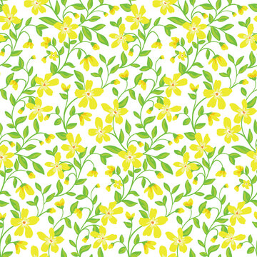 Seamless pattern with simple yellow flowers and long-stemmed leaves. Cute spring floral print with painted small flowers and leaves on a white background. Romantic floral pattern in vector.