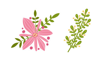 Fantasy ping flower and grass set. Floral natural decoraion vector illustration