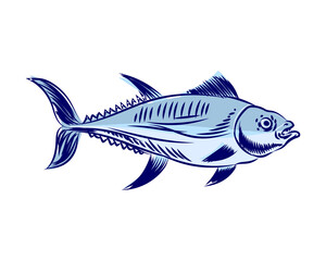 Tuna Hand drawing engraving. tunny Seafood fish. vector illustration