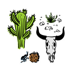 Desert hand drawing set: cow skull and cactus. Stones and beetles